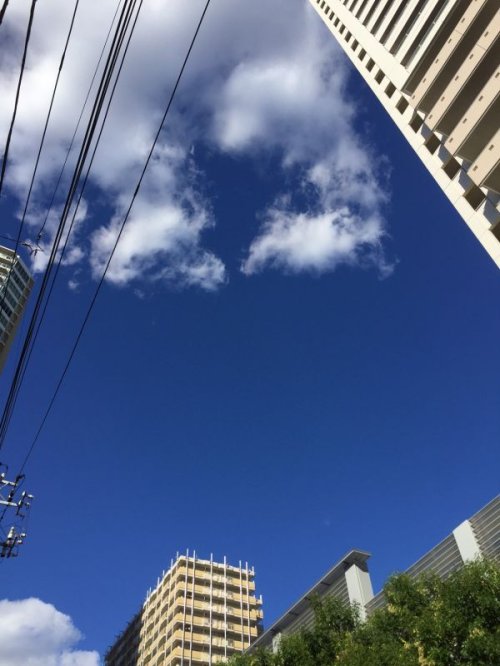 ★台風も過ぎ去り・・・★