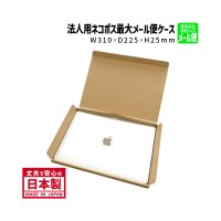 【送料無料】商品名/A4-25/長さ310×幅225×高さ25（mm）【A4サイズ、メール便対応、ゆうパケット、クリックポスト、ネコポス最大】