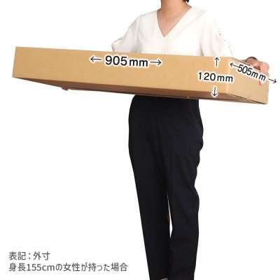 画像3: ダンボール 商品名/S-1/長さ900×幅500×高さ110（mm）【宅配160サイズ、横長】【10枚〜購入】【送料別】