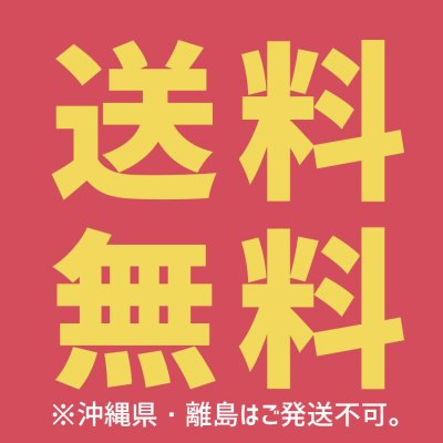 画像2: 【送料無料】OPPテープ 48mm×100m巻（透明・50巻入）