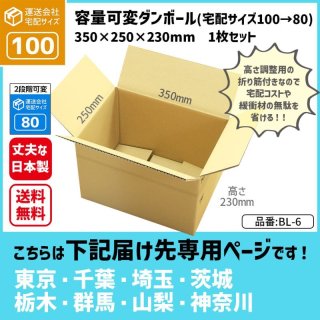 ダンボール専門店 1枚から全国へ通販 100サイズ ダンボール 長さ405×幅