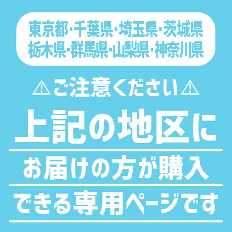 ダンボール専門店 1枚から全国へ通販 100サイズ ダンボール 長さ405×幅